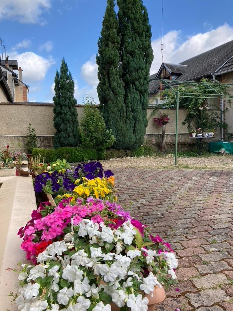 Capucine * Aubigny-sur-Nère